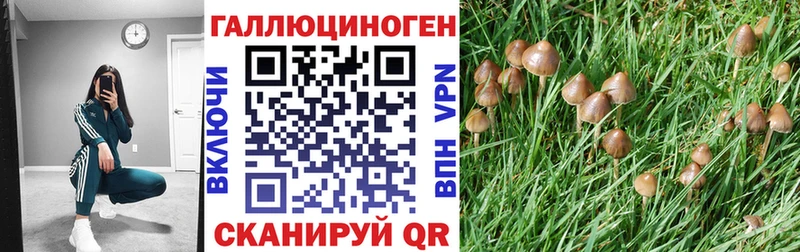 Псилоцибиновые грибы ЛСД  Купить закладки  Бирск 